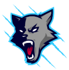 Sponsor Name #1