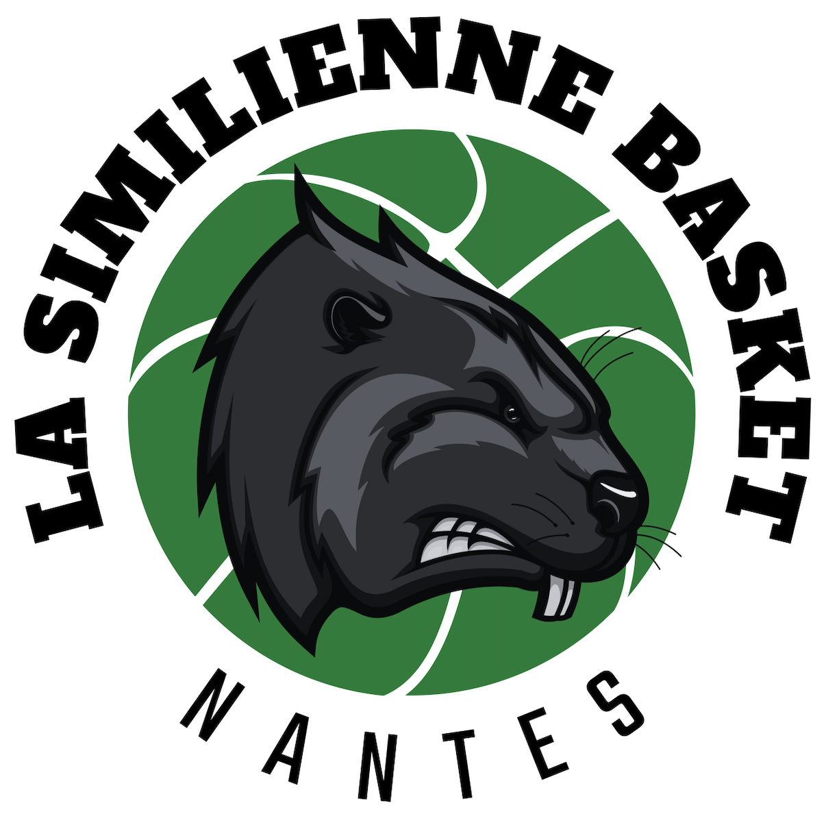 Sponsor Name #1