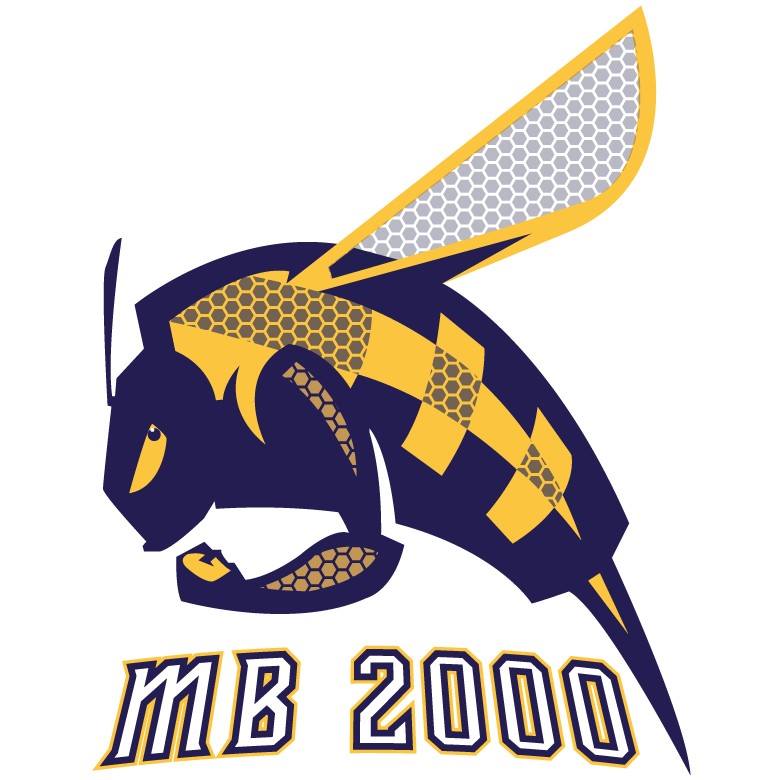 Sponsor Name #1